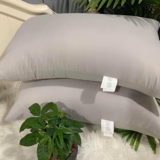 Ruột gối lông vũ gucci cao cấp