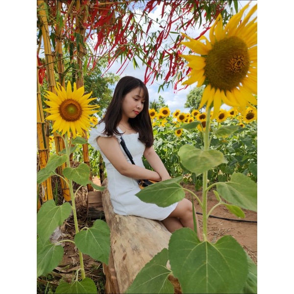 Đầm váy thanh lý live save