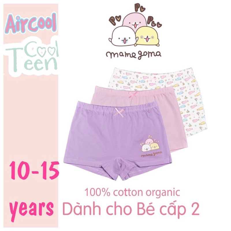 Sét 3 chip đùi bg Air cool dành cho bạn lớn