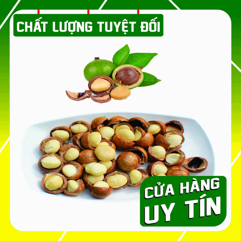 Hạt Macca Kbang nứt vỏ - Đồ ăn vặt -  Đặc sản Tây Nguyên [ 500G ]