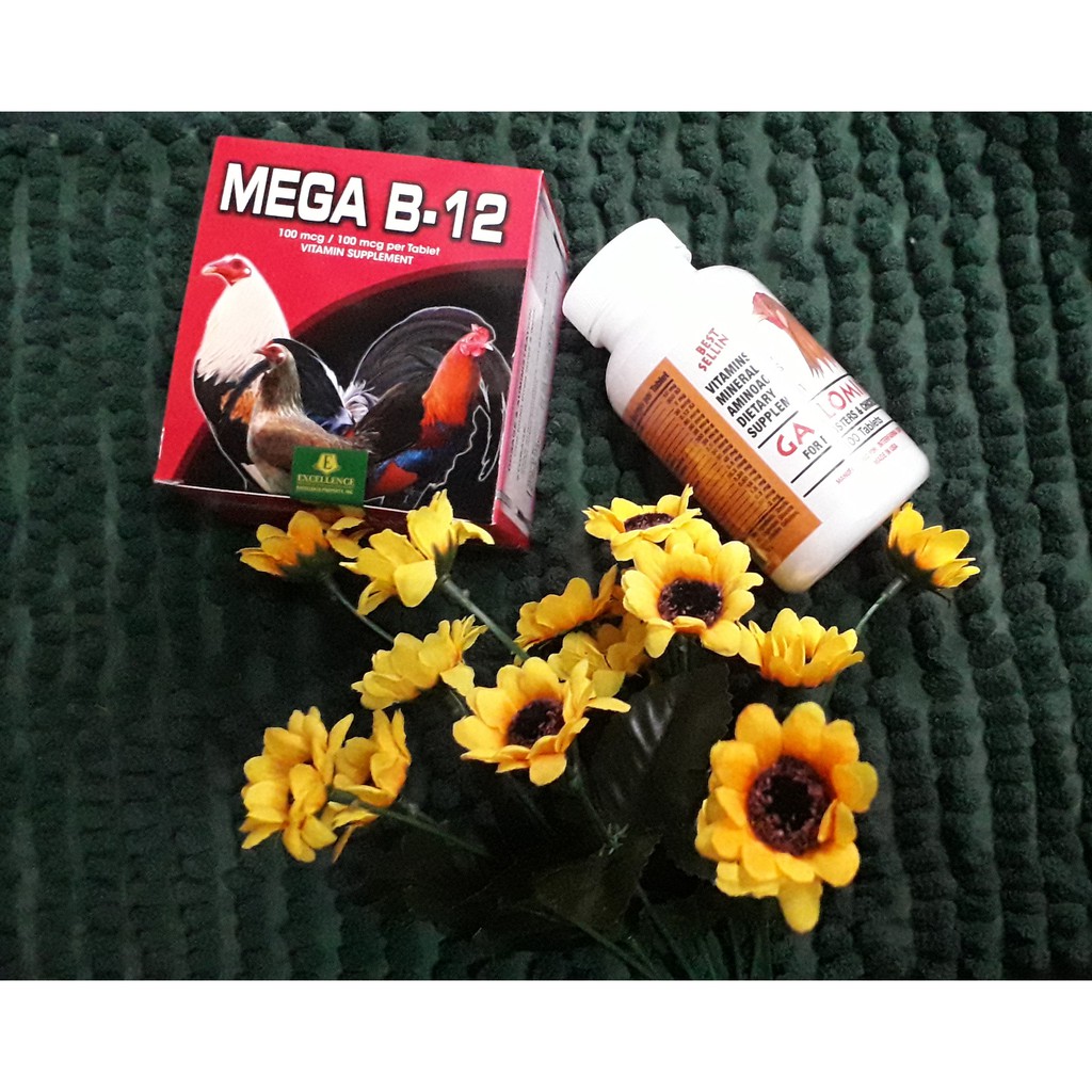 MEGA-B12 + GALLOMIN - Bộ Đôi Thuốc Nuôi Gà Chế Độ - Hàng HOT
