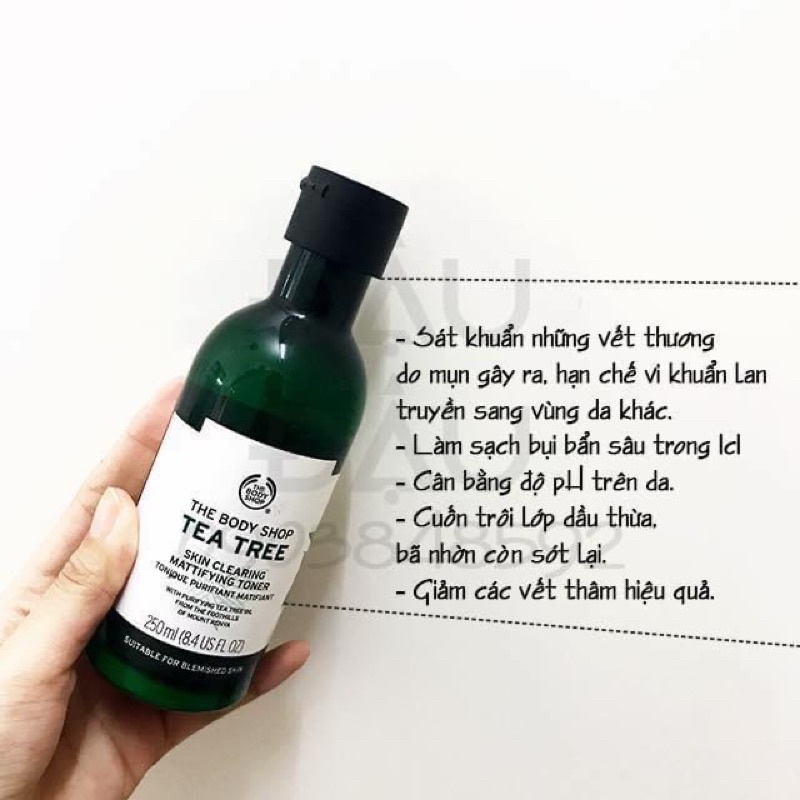 Toner tràm trà cho da dầu The Body Shop Tea Tree Skin Clearinh