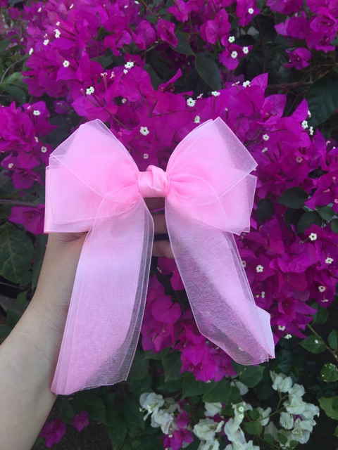 Kẹp  nơ voan phối