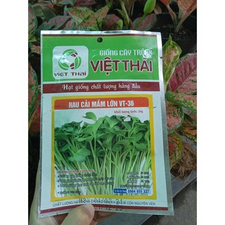 hạt giống củ quả rau sach