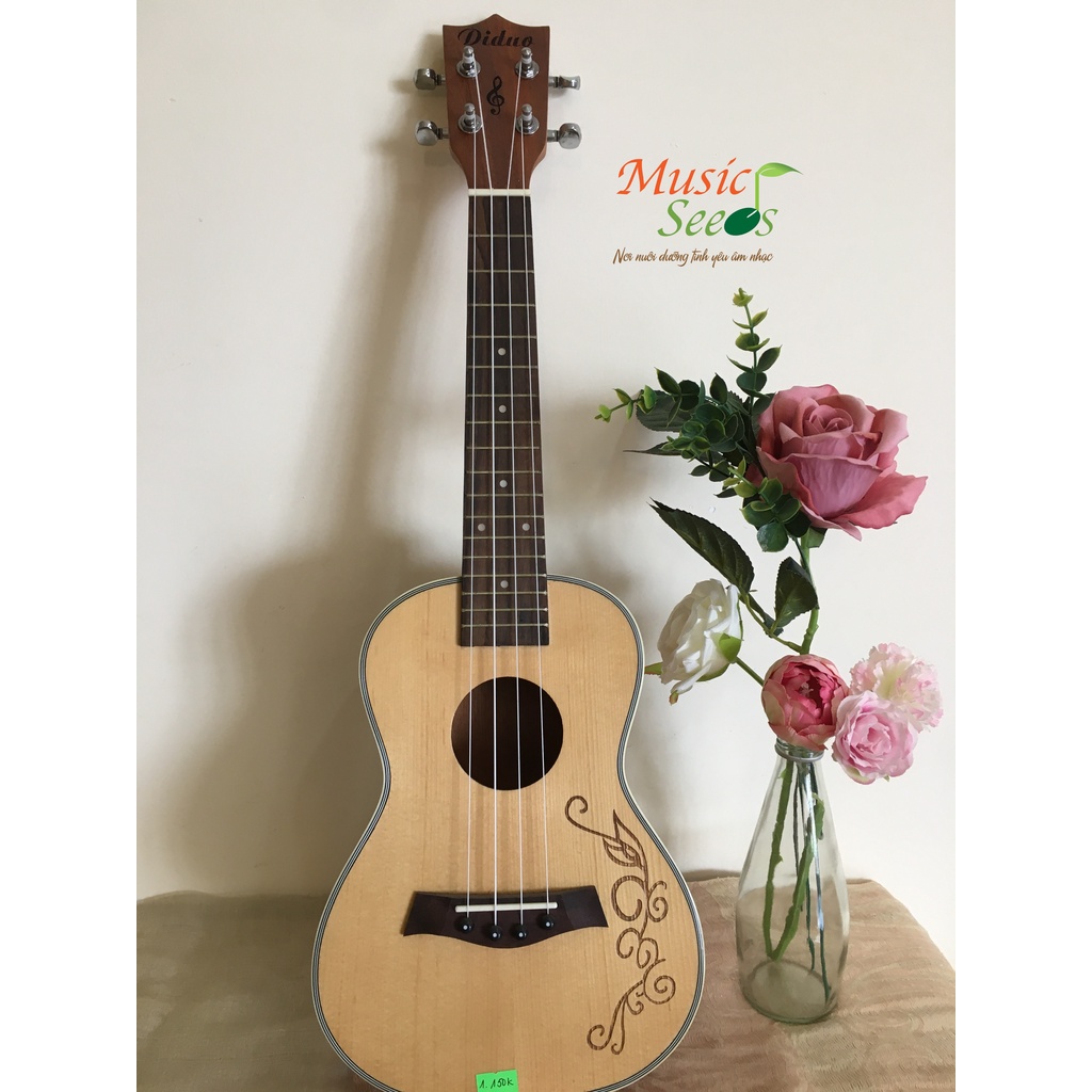 Ukulele Diduo Concert