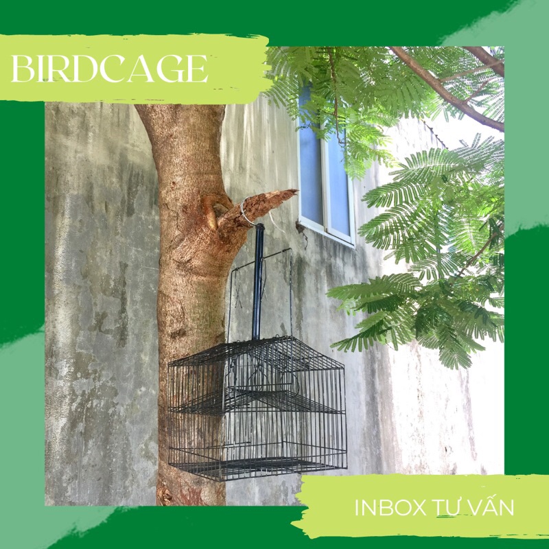 [Mã PET50K giảm Giảm 10% - Tối đa 50K đơn từ 250K] [HOT] BẪY KHUYÊN VUÔNG 4 CỬA