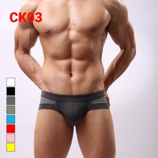 Quần lót nam-tam giác brief lưới CK03