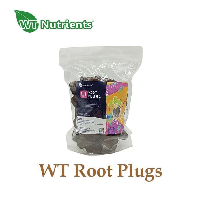 Mút ươm hạt giống , chiết cành của WT Nutrients.