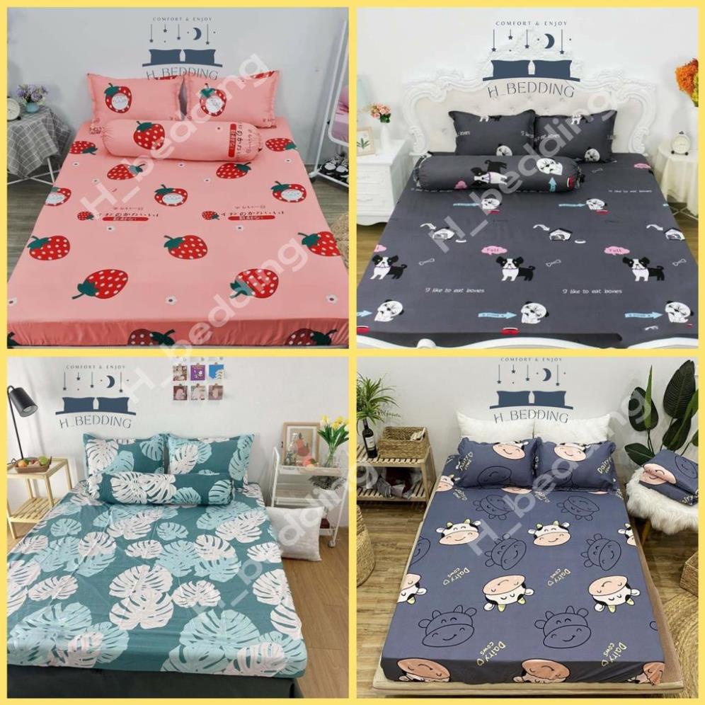 Ga trải giường poly cotton 1m2,1m6,1m8,Drap bọc nệm đẹp,được chọn mẫu