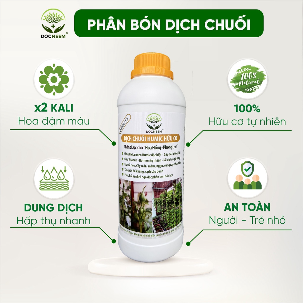 Dịch chuối Humic hữu cơ DOCNEEM, phân bón hoa hồng, lan, cây cảnh, bông to