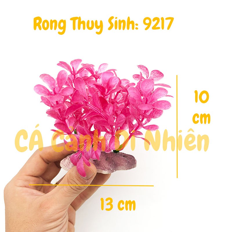 Mô hình cây rong Thủy Sinh trang trí hồ cá cảnh size 12CM