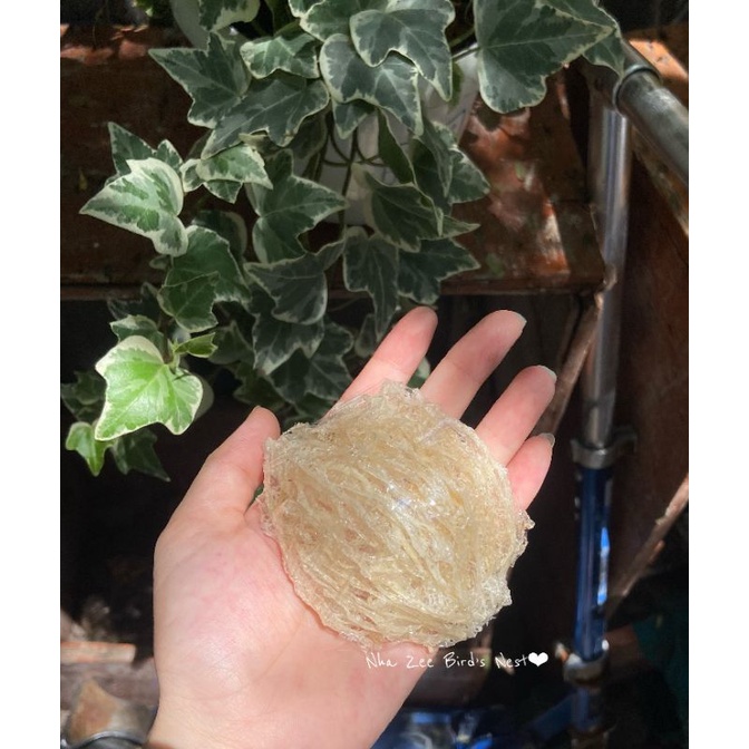 Tổ yến tinh chế  - Yến sào Nhà Zee