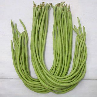 hạt giống cây đậu đũa gói (5Gram) rau