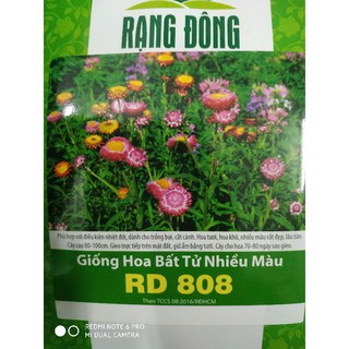 Hạt giống Hoa Bất tử nhiều màu ❤️FREESHIP XTRA❤️