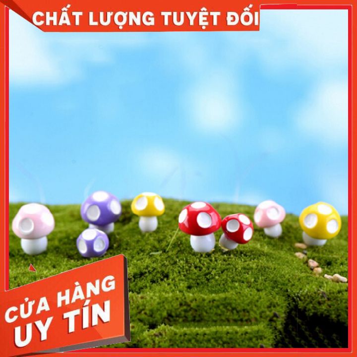 Nấm mini ❌ FREE SHIP ❌ phụ kiện trang trí tiểu cảnh