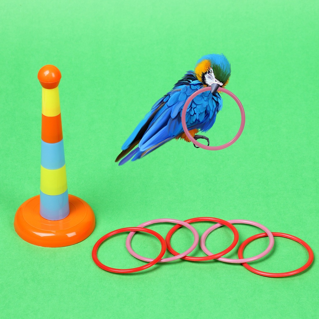 Set 4 Đồ Chơi Ván Trượt Mini Vui Nhộn Cho Vẹt