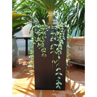 Chậu xi măng đá mài TRỤ VUÔNG R30*C60