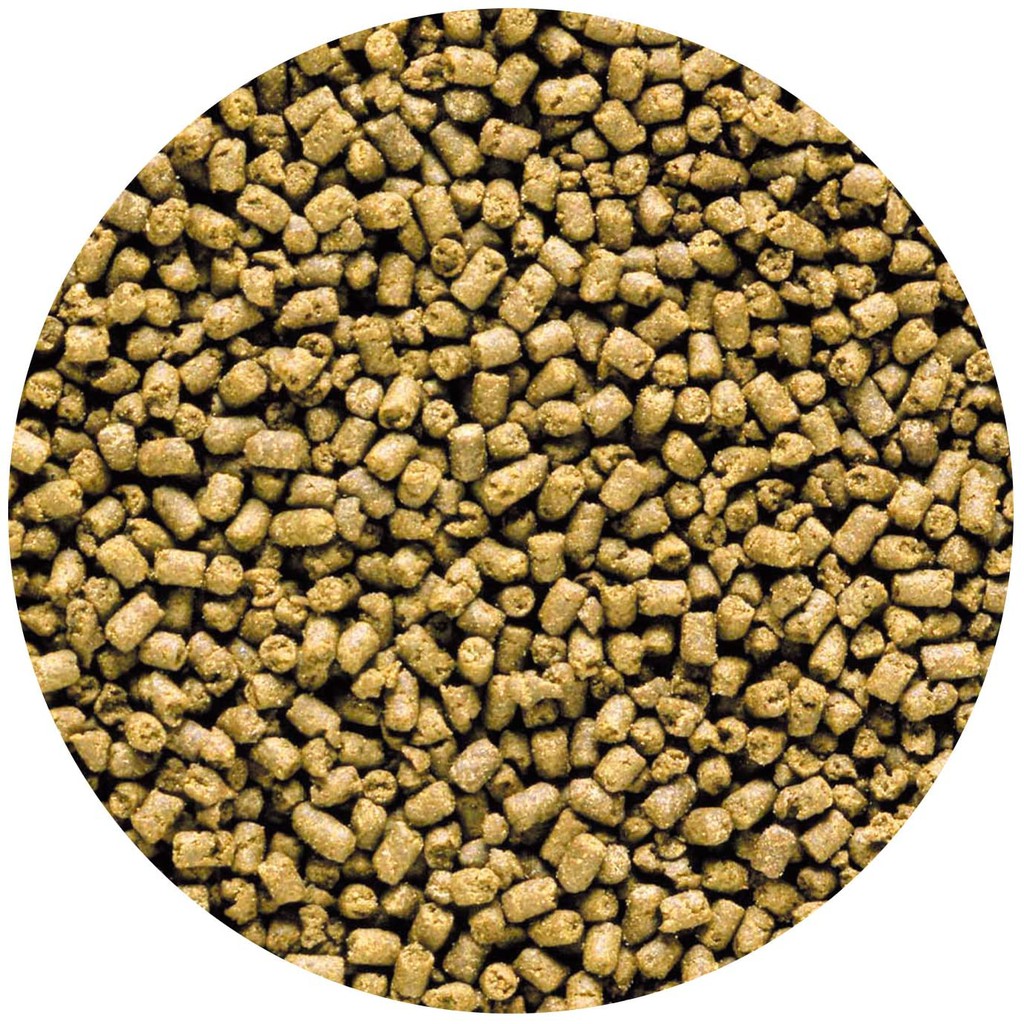 Thức ăn cho cá biển ăn thịt SAKI-HIKARI MARINE CARNIVORE - thức ăn cá biển cao cấp - hồ cá biển - bể nước mặn