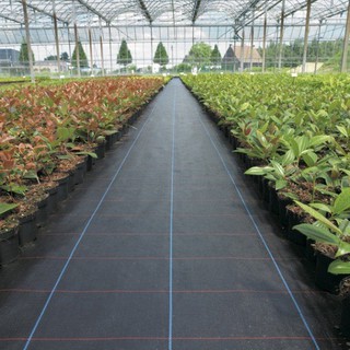Bạt trải chống mọc cỏ dại khổ 4m độ dày 120g/m2 (hàng xuất khẩu) ( TẶNG KÈM GHIM NHỰA)
