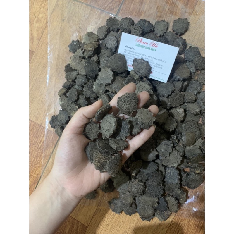[Mã 267FMCGSALE giảm 8% đơn 500K] 1kg Hạt Gấc Khô (Mộc miết tử) loại tốt | BigBuy360 - bigbuy360.vn