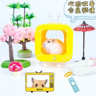 Nhà ngủ tivi siêu cool cho hamster
