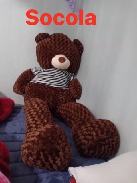 Gấu bông teddy áo khổ vải 2m