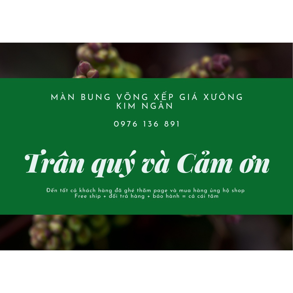 Võng xếp Duy Anh Cỡ Lớn chính hãng sơn tĩnh điện cao cấp