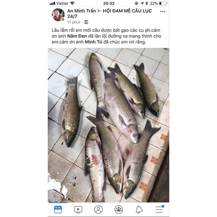 Mồi câu trắm trắng 5 Đen