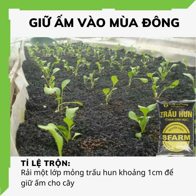 Túi 5dm Trấu hun SFARM (Biochar – Than sinh học) bổ sung kali bón cây siêu tốt