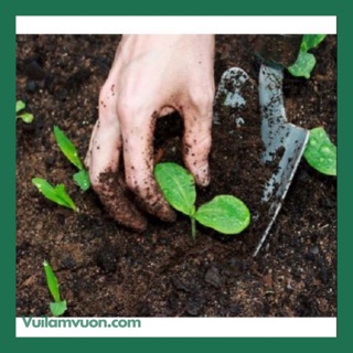 1kg đất sạch hữu cơ vi sinh trồng rau- cây cảnh giàu dinh dưỡng cao cấp