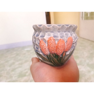 chậu sứ hình trồng sen đá