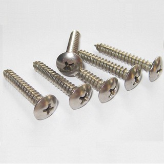 VÍT GỖ PAKE ĐẦU DÙ INOX M4-M5.