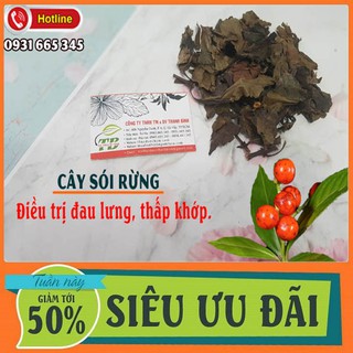Cây Sói Rừng Khô 100g Loại 1 Hàng CTy - Thảo Dược Thanh Bình