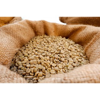 Cà Phê Nhân - Arabica TC1 S18 Washed Cầu Đất 1Kg - Mr. Phin Coffee