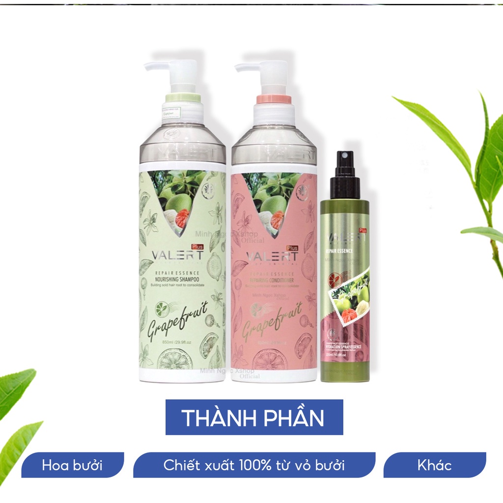 Bộ Dầu Gội Xả Bưởi Grapefruit Mẫu Mới Chính Hãng Anh 850ml*2