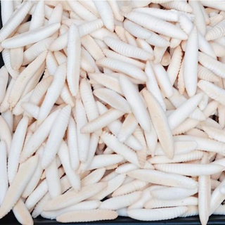 BÁNH MEN SỮA DỪA CON ĐUÔN BẾN TRE.