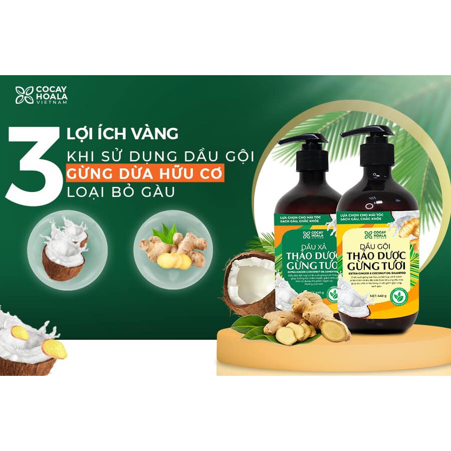 COMBO DẦU GỘI XẢ THẢO DƯỢC GỪNG DỪA HỮU CƠ CỎ CÂY HOA LÁ LÀM SẠCH DA ĐẦU, HỖ TRỢ GIẢM NGỨA HIỆU QUẢ, DƯỠNG TÓC MỀM MƯỢT