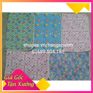 Chiếu thay đồ cho bé (cỡ bé, cỡ lớn)