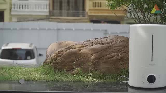 Máy phun sương Deerma F628/F628S [Hàng Chính Hãng] máy tạo ẩm xông tinh dầu, dung tích 5L bù ẩm siêu âm | BigBuy360 - bigbuy360.vn