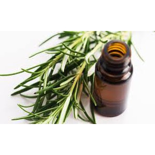 Tinh dầu tràm trà - Ruby 10ml