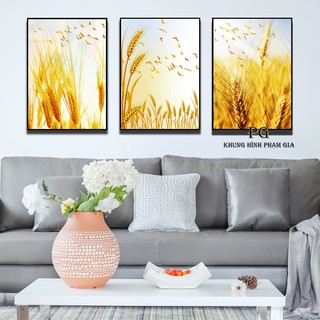 Bộ 3 Tranh treo tường kt 40x60cm Bông lúa vàng cực đẹp và sang Tặng phủ Nano và đinh treo - khung hình phạm gia PGLT153