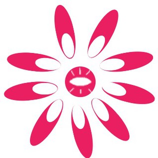 Brooch, hair accesso, boutique