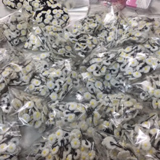 150 kẹp 5 vỉ kẹp