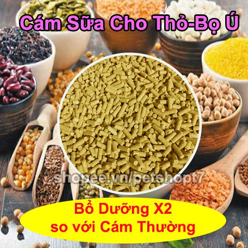 1kg Cám Sữa Bổ Dưỡng Gấp Đôi Cho Thỏ-Bọ Ú-Guinea Pig
