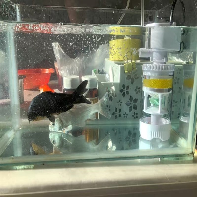 Máy bơm nước sục khí oxy hồ cá có bộ lọc bên trong 4/ 10/ 20W tạo sóng dạng chìm hoạt động yên tĩnh phiên bản nâng cấp