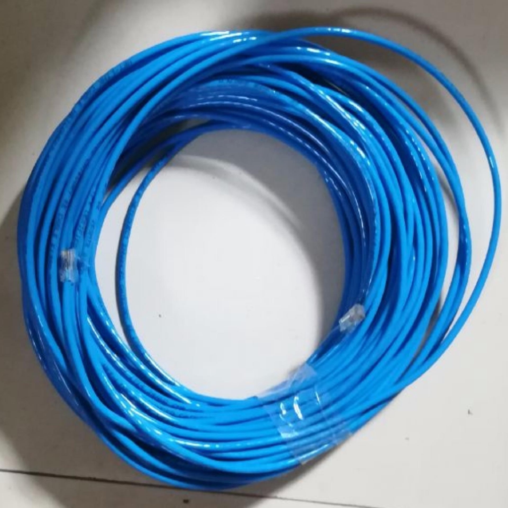 (SIÊU GIẢM GIÁ) Dây cáp mạng CAT5E UTP bấm sẵn 2 đầu 10 Mét (Màu xanh - Mới 100%) -cat5e10m