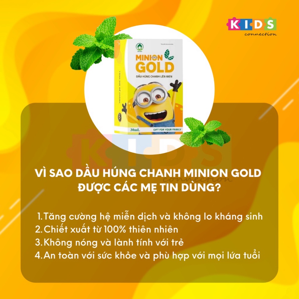 Tinh dầu Húng Chanh minion gold giảm ho, cảm cúm, tăng sức đề kháng - chai 30ml