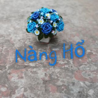 Chậu hoa giấy