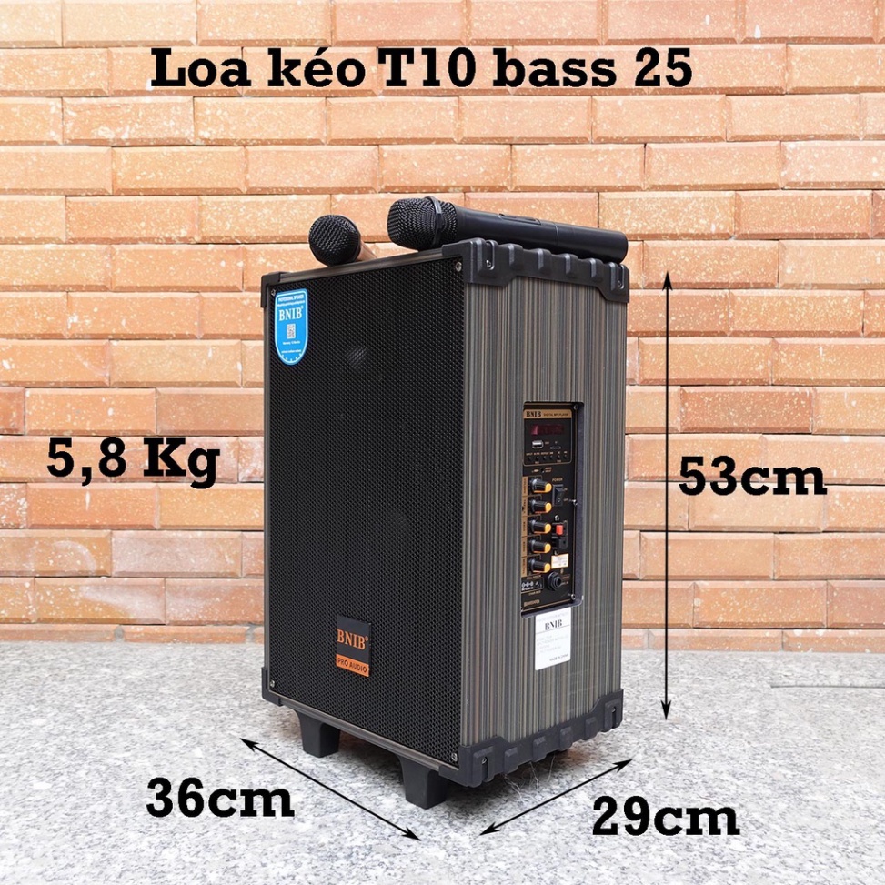 Loa kéo karaoke BNIB T10 Bass 25 Loa di động bluetooth xách tay mini tặng kèm 2 tay micro