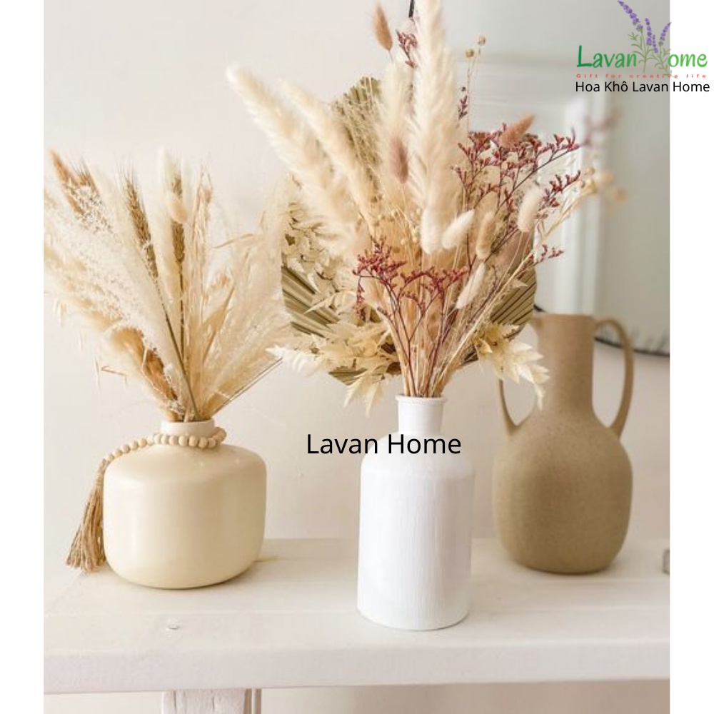 Cỏ lau khô nhỏ Pampass Grass dùng làm phụ kiện chụp ảnh, căm trang trí, bình hoa để bàn, hoa cưới vintage - Lavan Home